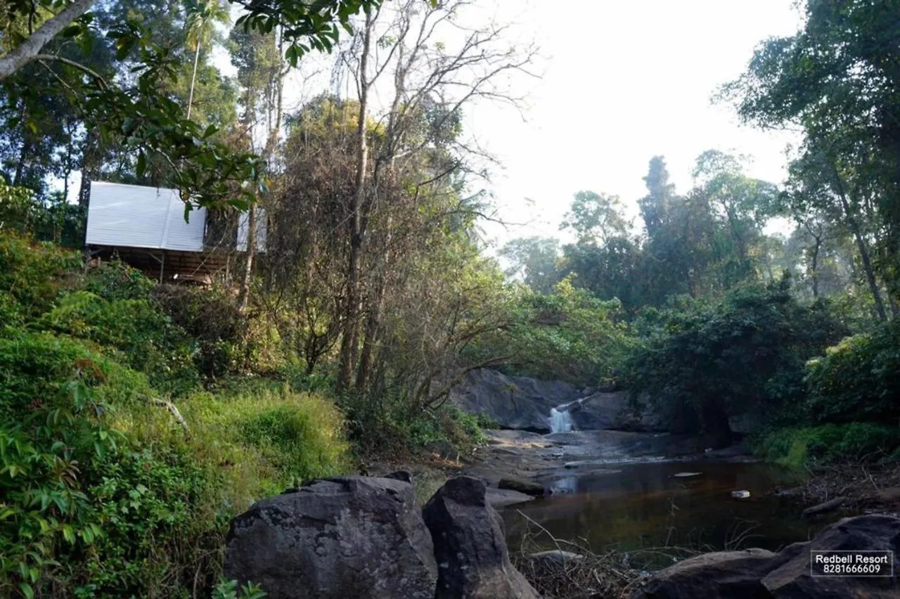 Redbell Resorts Wayanad